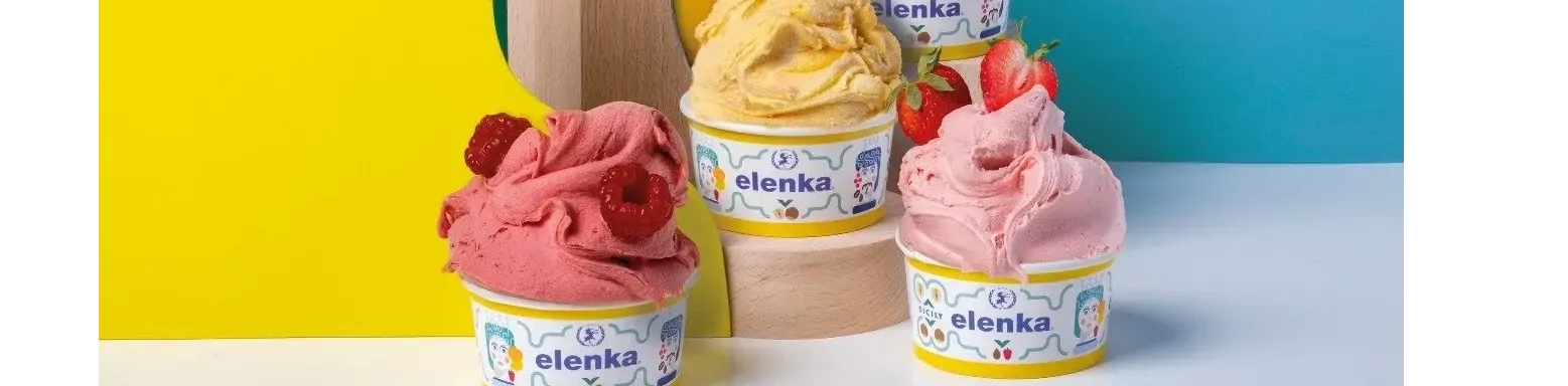 Elenka S.p.a banner