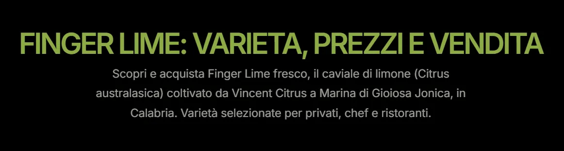 Vincent Citrus banner