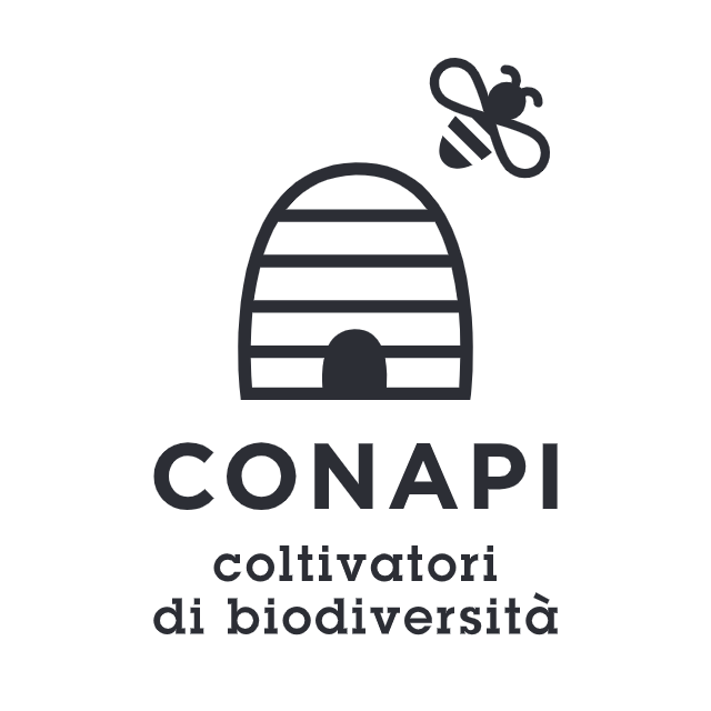 CoNApi