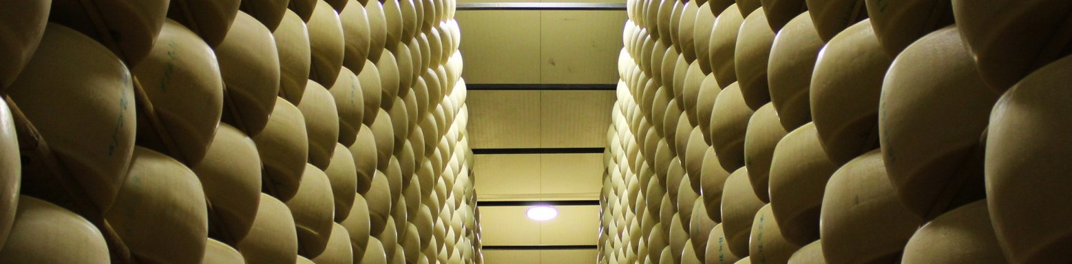 Latteria Sociale Mantova Soc. Agr. Coop. banner