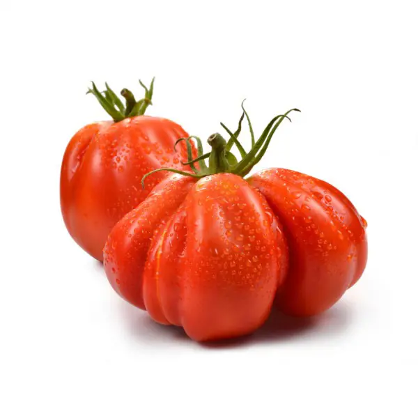 Pomodori Cuore di Bue (Cat 1)