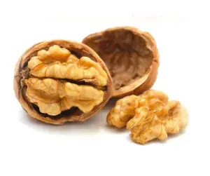 Olio di Noce Biologico 25 Kg