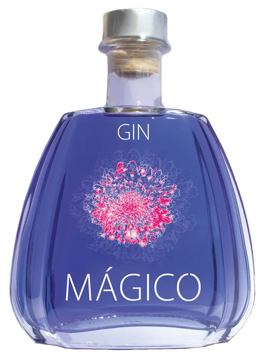 Gin Magico 40° 70 Cl (1 Bottiglia)