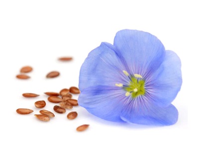 Semi di Lino Biologico 5 Kg