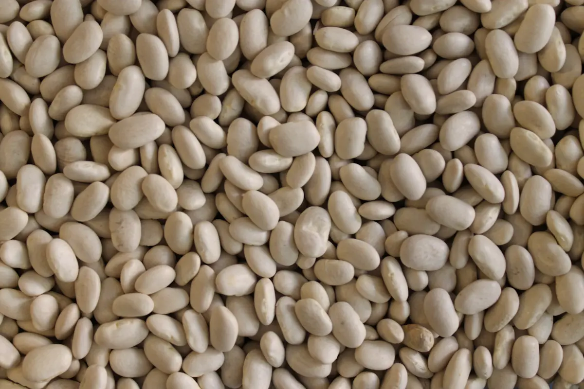 Fagioli G.North - Piattella 1 Kg