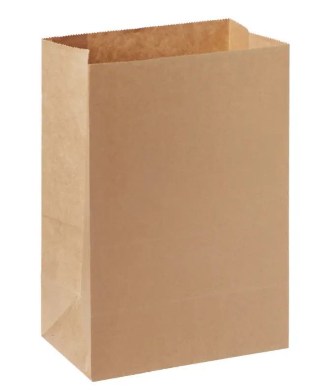 Sacchetto Carta Asporto Marrone/S.Manici (500 Pz)