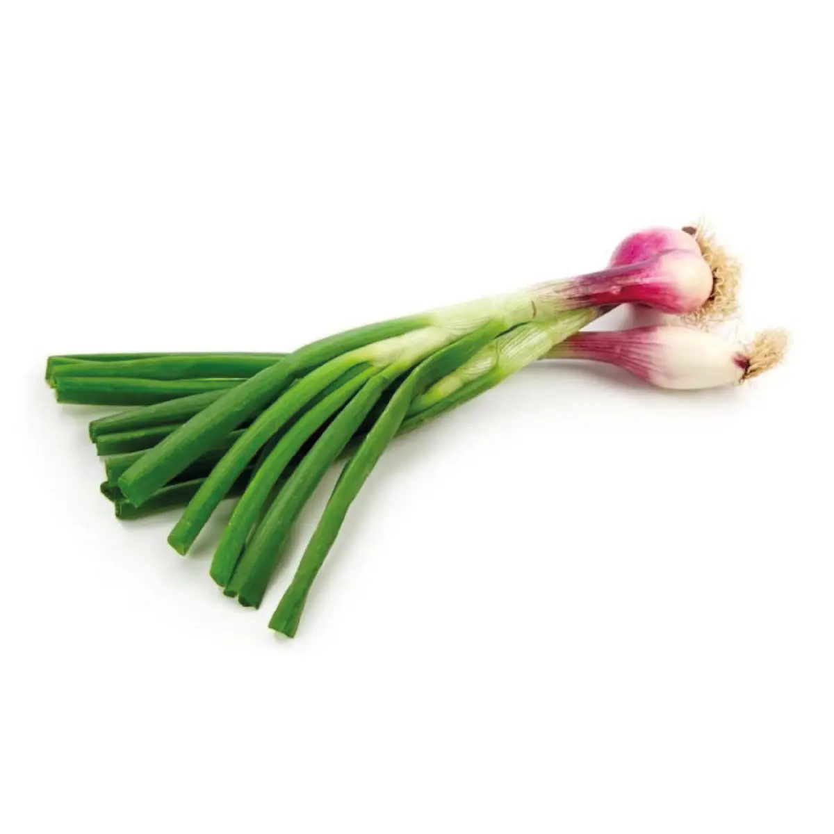 Cipolle fresche Tropea (Cat 1)