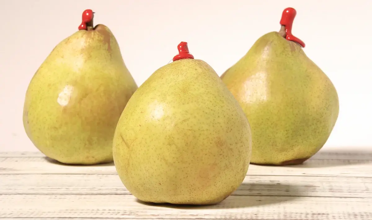 Pere Paradiso Cal. 14 (Cat 1)