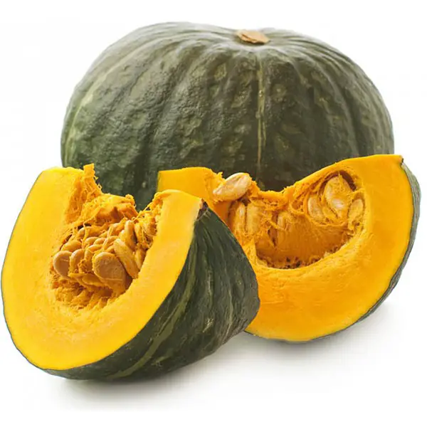 Zucca Delica (Cat 1)