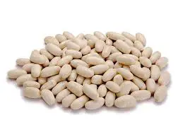 Fagioli Cannellini secchi 5 Kg