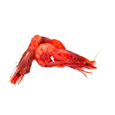 Gambero Rosso II Sicilia 1 Kg