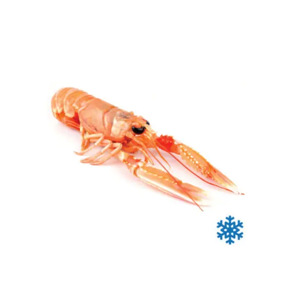 Scampi II Sicilia 1 Kg