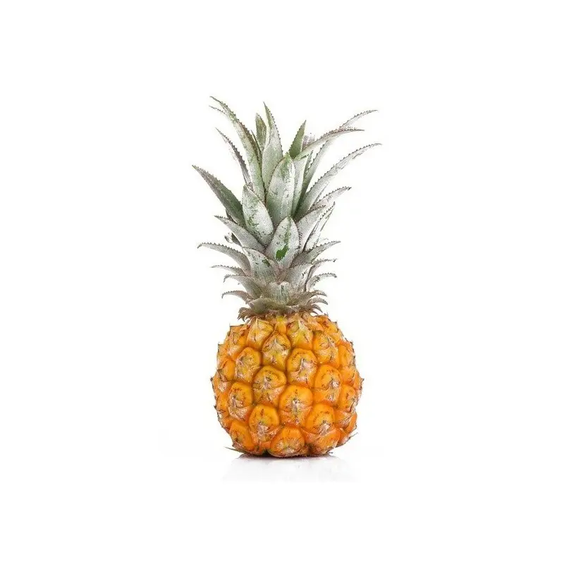 Ananas Baby (1 Pz circa 950 Gr)