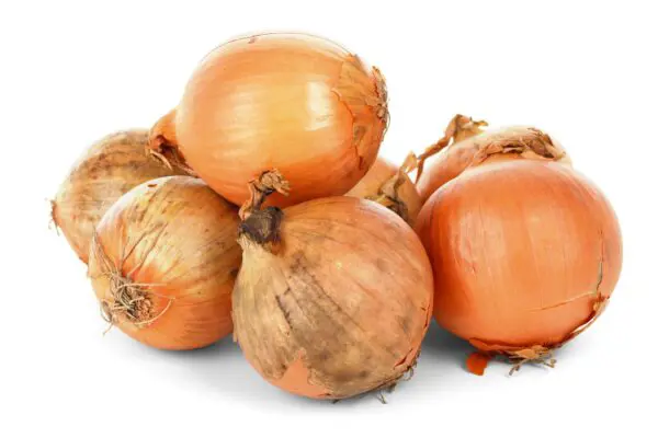 Cipolle bionde (Cat 1) 5 Kg (1 sacchetto)