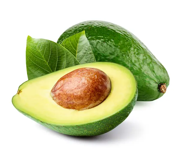Avocado Verde Pinkerton a frutto (Cat 1) circa 300 Gr Cad