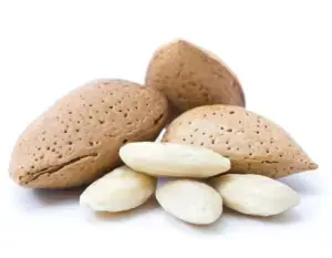 Olio di Mandorla Biologico 25 Kg