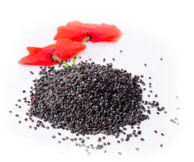 Semi di Papavero Blu Biologico 25 Kg