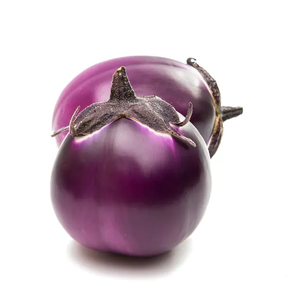 Melanzane Viola (Cat 1)