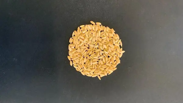 Riso Baldo Giallo 25 Kg