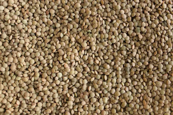 Lenticchie mignon 500 Gr