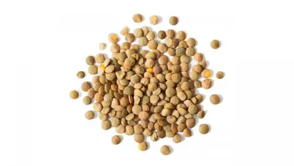 Lenticchie medie 1 Kg