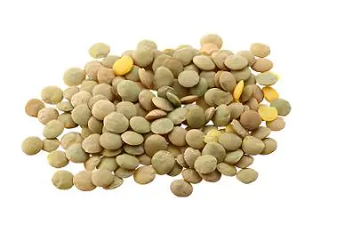 Lenticchie giganti 500 Gr