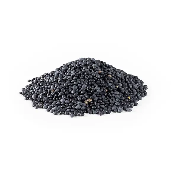 Lentiche nere beluga 25 Kg