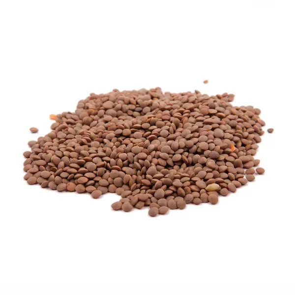 Lentiche rosse intere di pantelleria 25 Kg