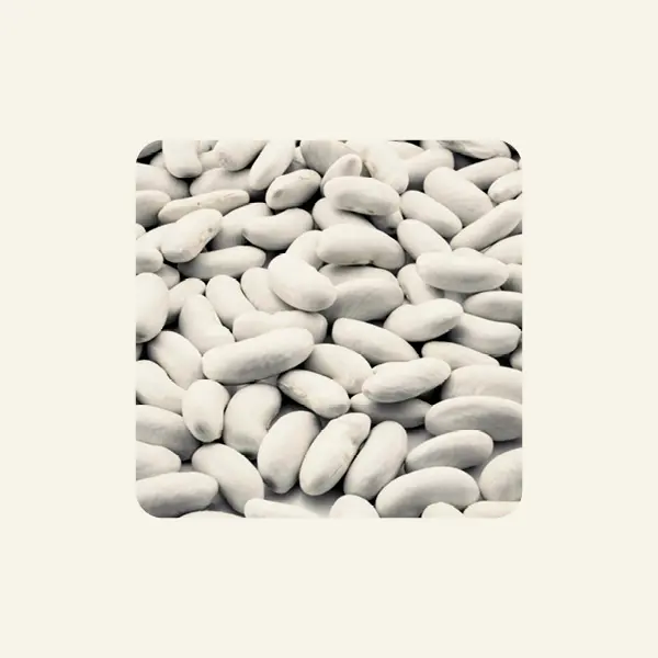 Fagioli G.North - Piattella 25 Kg