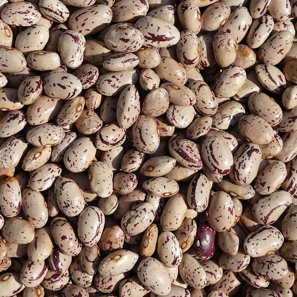 Fagioli borlotti 500 Gr