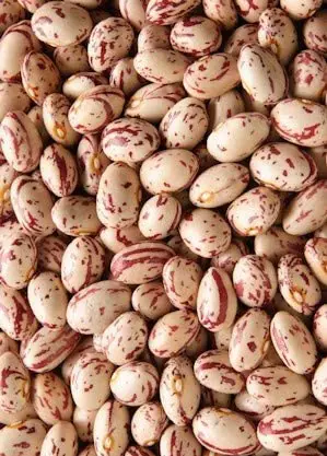 Fagioli Borlotti Lamon 10 Kg