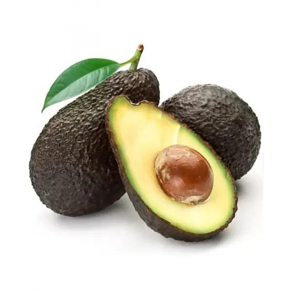 Avocados a frutto