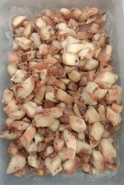 Tentacolo Totano gigante cotto e tagliato 10 Kg (2 sacchetti da 5 Kg)