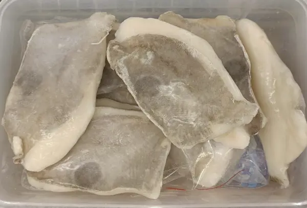 Filetto San Pietro 7,50 Kg (10 sacchetti x 750 Gr)