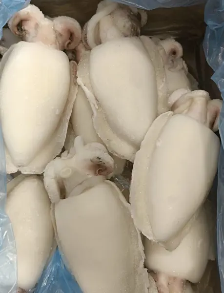 Seppia grossa pulita IQF 12 Kg