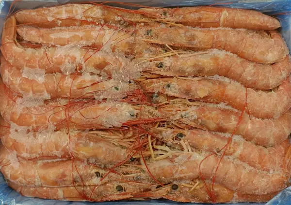 Gambero L1 12 Kg (6 scatole x 2 Kg)