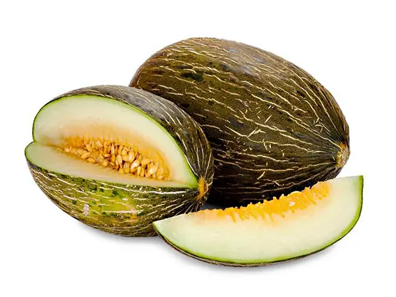 Melone verde