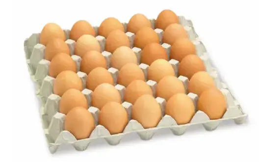 Uova L pasta gialla 90 pezzi