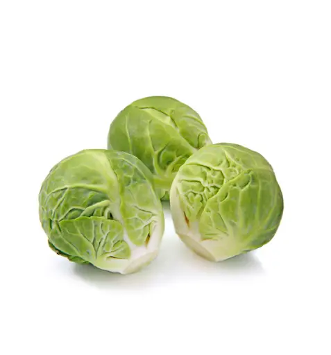 Cavolini di Bruxelles (Cat 1) circa 130 Gr