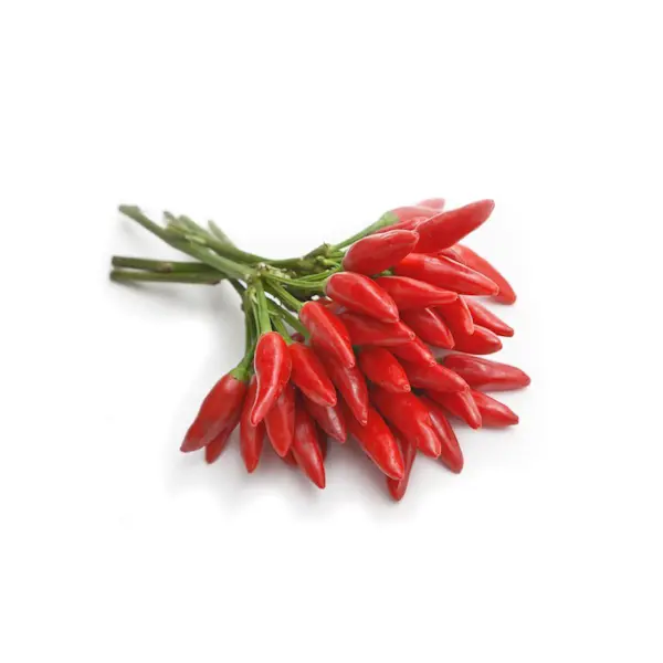 Peperoncini Piccanti (Cat 1) circa 12/15 al Mazzo