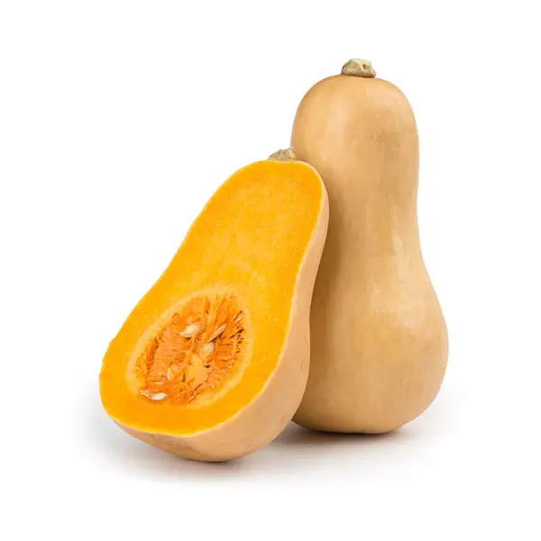 Zucca Francia (Cat 1)