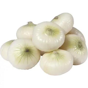 Cipolle Nuove (Cat 1)