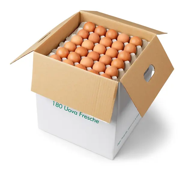Uova sfuse M (1 Cassa da 180 Uova)