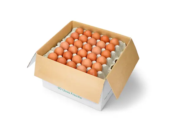 Uova sfuse M (1 Cassa da 90 Uova)