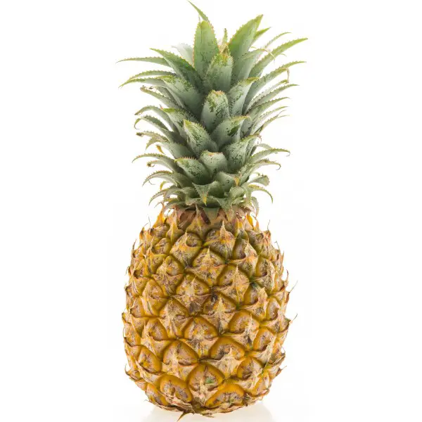 Ananas Via Aerea