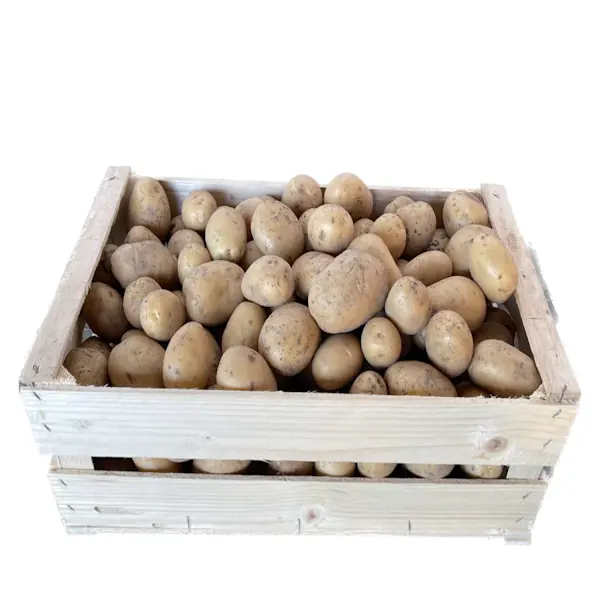 Patate 10 Kg
