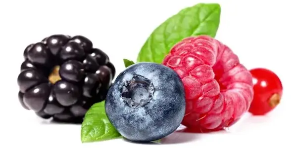 Frutti di bosco Vaschetta da 125 Gr