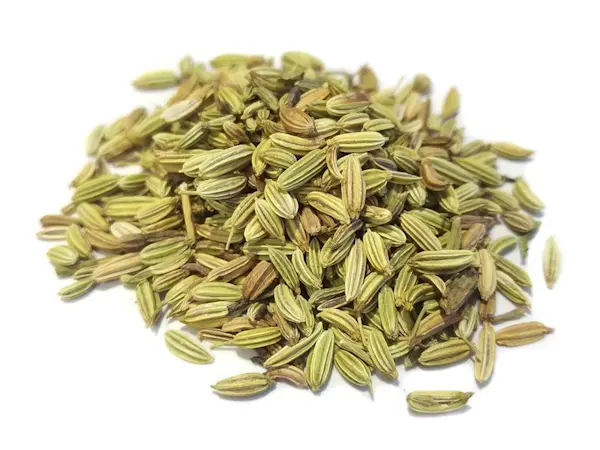 Semi di Finocchio 1 Kg