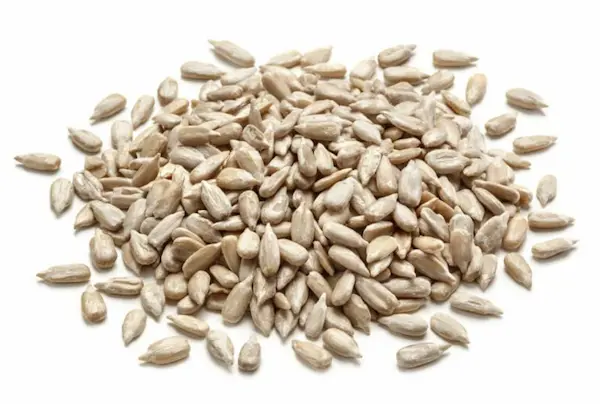 Semi di Girasole 10 Kg