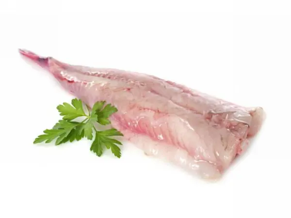 Coda di Rospo 1000/1500